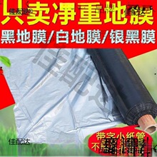 �r���y���pɫ��Ĥ�Ӻ���x���׺�Ĥ���⸲�w����@����������̫��