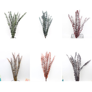 ��Ϲ��S���l�������~�X���ȼ���  �����ֹ�diy��c�Ҿ��bɻ�