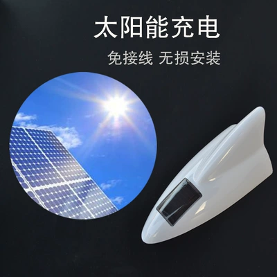 Tail Light for Small Cars — vehicle antenna