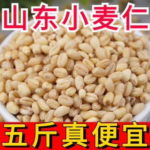 �r��ȥƤС���������� ÓƤС���� �������s�Z�r�Ұ��]ʳ������