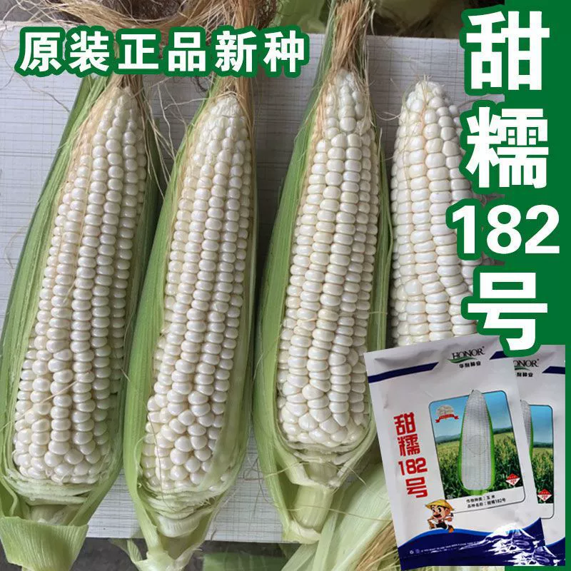 Сладкая клейкая кукуруза 182, четырехсезонная сладкая клейкая кукуруза, свежая кукуруза, семена кукурузы, белые клейкие семена кукурузы