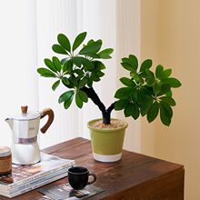 ���_ľ�˷���ؔ�͏d�k����������ؔ�Gֲ��������ֲ���ļ�����