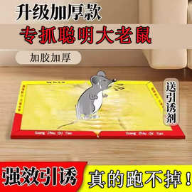 粘鼠板捕鼠神器粘鼠家用捕鼠夹强力胶粘老鼠贴超强粘力室内专用