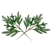 ���恆��ֲ���؎X��ɼ�ɼˮɼ�؎Xɼ�d�����~�ɼt��ɼľ��ɼ���l