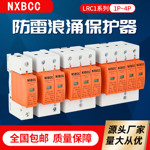 Household surge protector 4P20KA40KA60KA80ka100KA lightning arrester 2P surge protection lightning protector