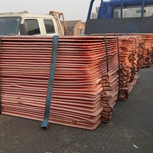���~��늽��~A���~ꎘO�~һ̖�~���~ұ���~ �T�� Cu-CATH-1���ЉK