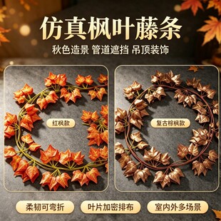 �S�����l���������~�ٗl���~������ɽ��ֲ��٘��~����b���