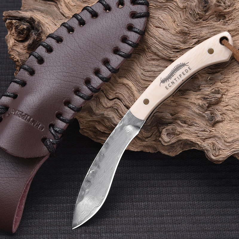 담 개 다리-소 뼈 손잡이