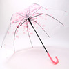 Umbrella transparent umbrella cherry blossoms long -handle umbrella transparent umbrella umbrella super beautiful literary and fresh long -handle umbrella multi -color