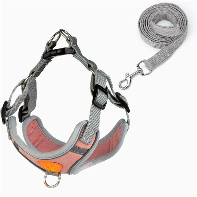 ボーダーコリー子犬用リード、子犬のお出かけ専用チェストバック犬用リード、子犬・大型犬用噛みつき防止ペット用品|undefined