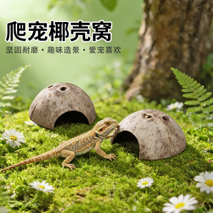 ����Ҭ������������،m�����߶�ѨҬ�ӸC�쾰����b������Ʒ