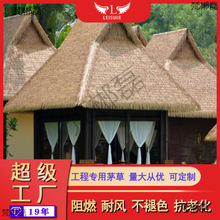 ������é�S�Ҷ� ������b��X�ƽ���éͤ����