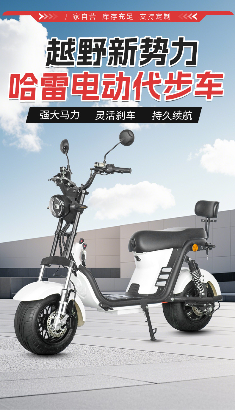 Cross-Border Exclusive Supply of Small Harley Motorcycles, Electric Harley Bikes, Two-Wheeled Bikes, Cruiser Bikes, Wide-Tire Off-Road Electric Vehicles