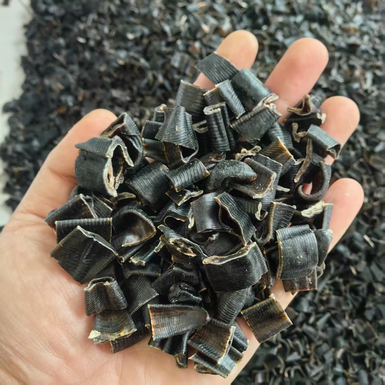 Dried Leech Shui Zhi 水蛭 Hirudo Slices 500g Traditional Chinese Herb Can Be Ground to Powder key features