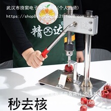 精达山楂去核304不锈钢山楂去核机多功能去冰糖葫芦去籽新款