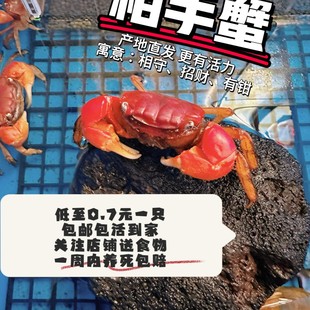 ����з��ˮ�з���w�^�pз��������ˮ��з����з����зˮ���坍��