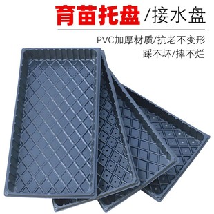 ����PѨ�P�����������P�߲˻������ϻ���������Nֲ����Ǥ���