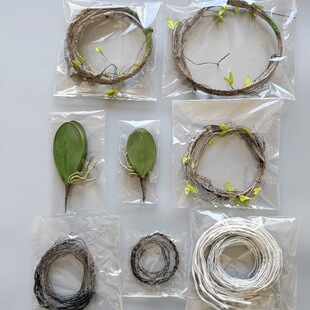 �羳���u���������ٿ�֦�����m�~С��֦��֦�ٗl�b��ټ�ֲ��