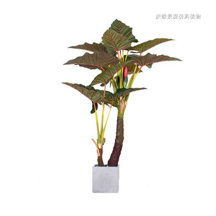 ����ʺ���t���������^�~�҃��k���ҾƵ����P��ؔ[���b�����