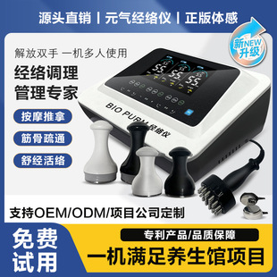 Evergreen China bio Yuan Qi Zhi meridian health care center with full body massage three dredge beauty therapy instrument