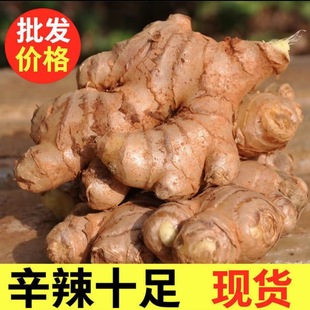 ���С�S�������������r�߲ˬF�ڸ�ɽ�����Ͻ��������lș���r��