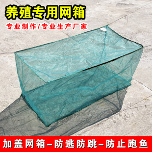 ���q�S�X�r�X�~�Bֳ�W�~���B�~�W�������B���~��С�O�W���ӾW�W��