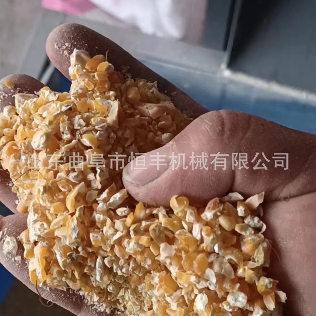 两项电粮食挤扁机厚薄可调燕麦黄豆挤扁机核桃破碎机