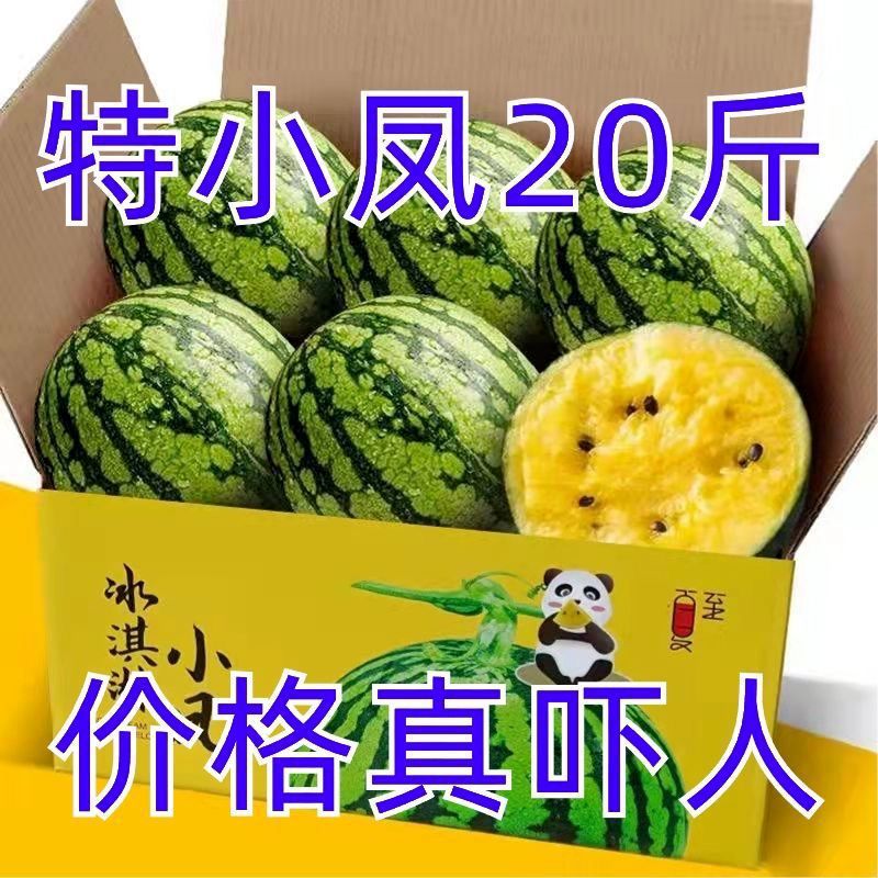 小凤现摘现发新鲜黄瓤小西瓜脆甜多汁水果黄心黄肉西瓜当季水果