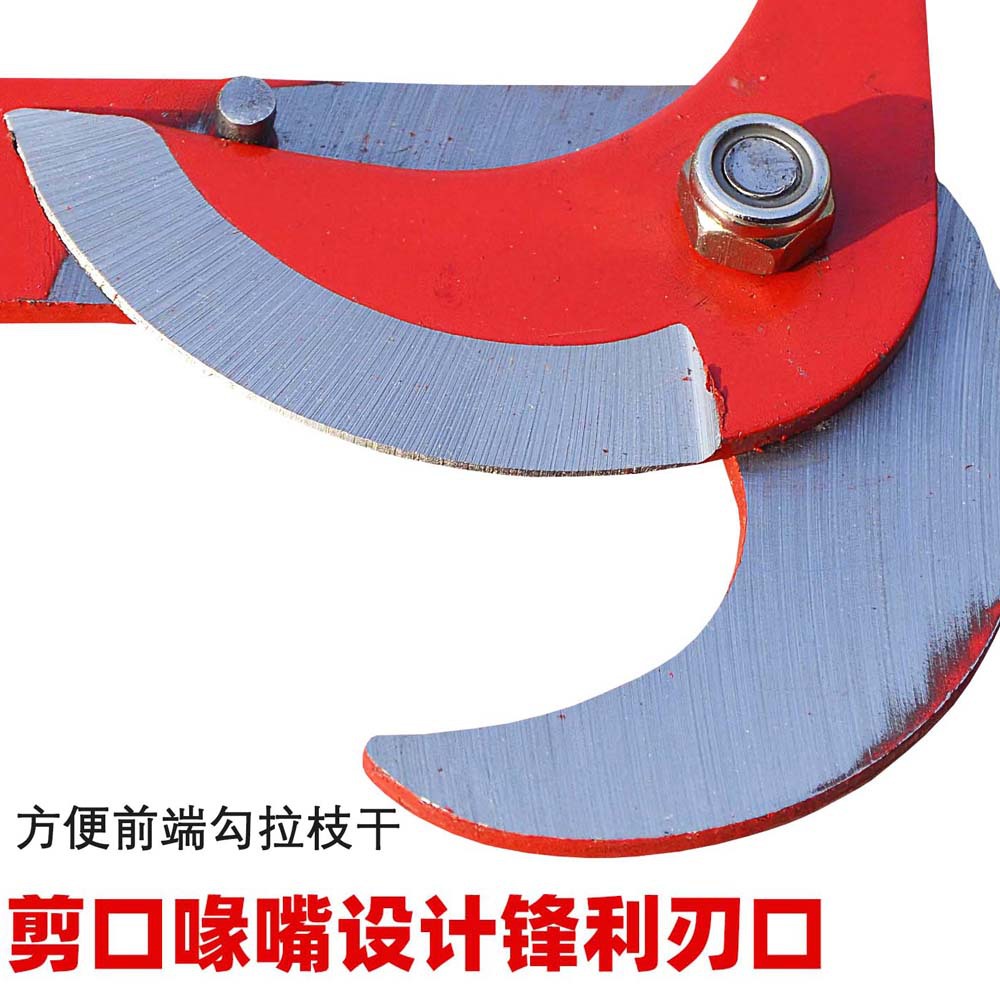 Tijeras para cortar ramas a gran altura, tijeras de poda grandes, tijeras de poda, tijeras para recoger frutas, tijeras para recoger longan y lichi.