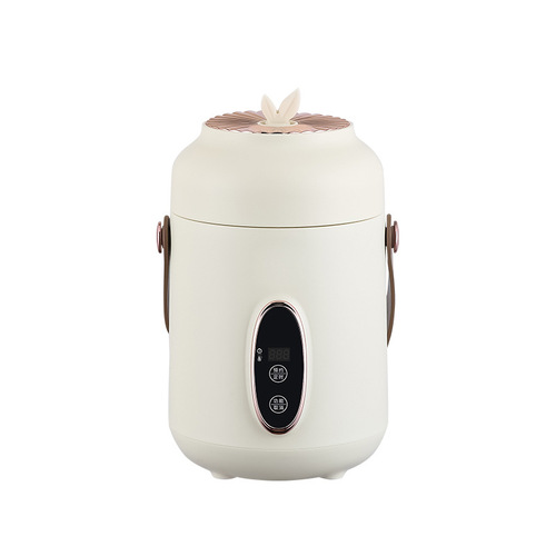 Portable health pot, household small multi-functional electric stew cup, office mini porridge artifact, automatic health cup
