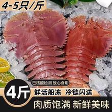 琵琶虾顺丰特大鲜活冷冻九齿虾皮皮虾新鲜海捕犀牛虾海虾3-4斤装