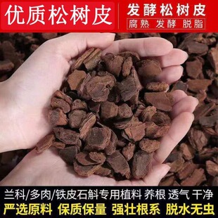 �l���ɸ����ɘ�Ƥ�w���m���������m�����mʯ���¼��Nֲ�ϻ��|