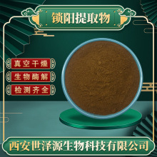 锁阳提取物20:1 供应水溶性锁阳粉锁阳肽锁阳生物碱锁阳提取物