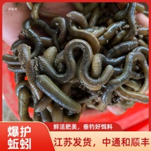 ������r���~�D���D����������S�X�T�D�D���ش����������r�D