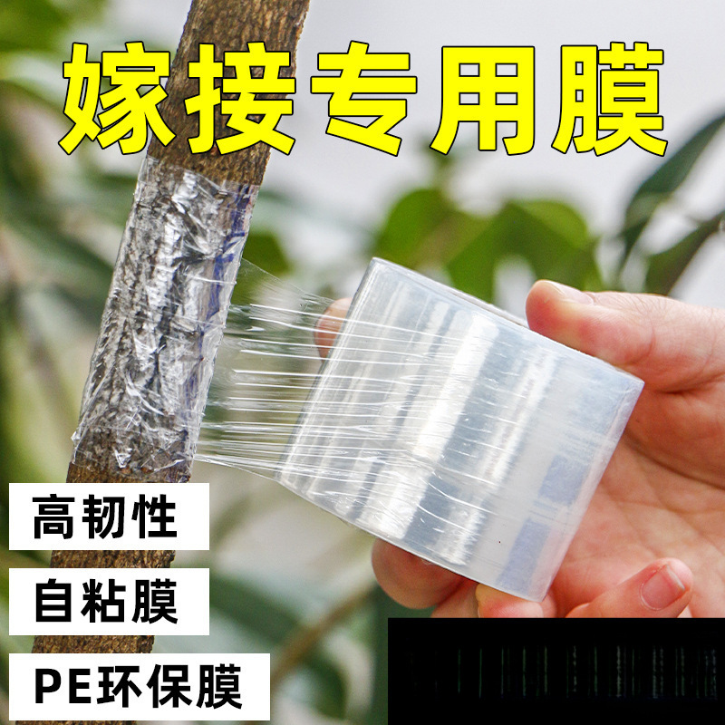 果树嫁接膜专用膜缠绕膜PE免拆自粘膜薄膜架接膜稼接膜接树膜胶带
