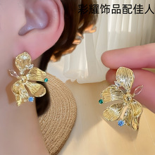 2025�r������ʽ���ɏ���������С���º��s������h�߼��ж��