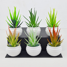 ���W���s�����������С�辰����Gֲ���������k�����b�Ʒ�[��