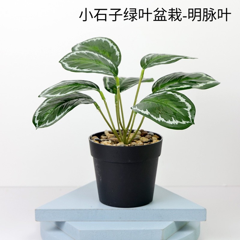 バラの陶器鉢水草鉢植え葉付き小石鉢植え造花植物ホームデコレーション|undefined