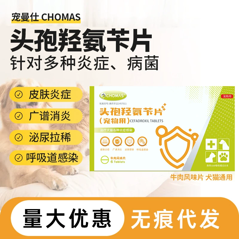 Противовоспалительное средство для домашних животных, таблетки цефалоспорина, противовоспалительное и антибактериальное средство для домашних животных, специальное антибактериальное средство цефалоспорина, лечение мочевыводящих путей, мочевой кашель