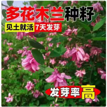 ໨ľmNӷNѶ໨ľ{ùľԴֲǃĶ