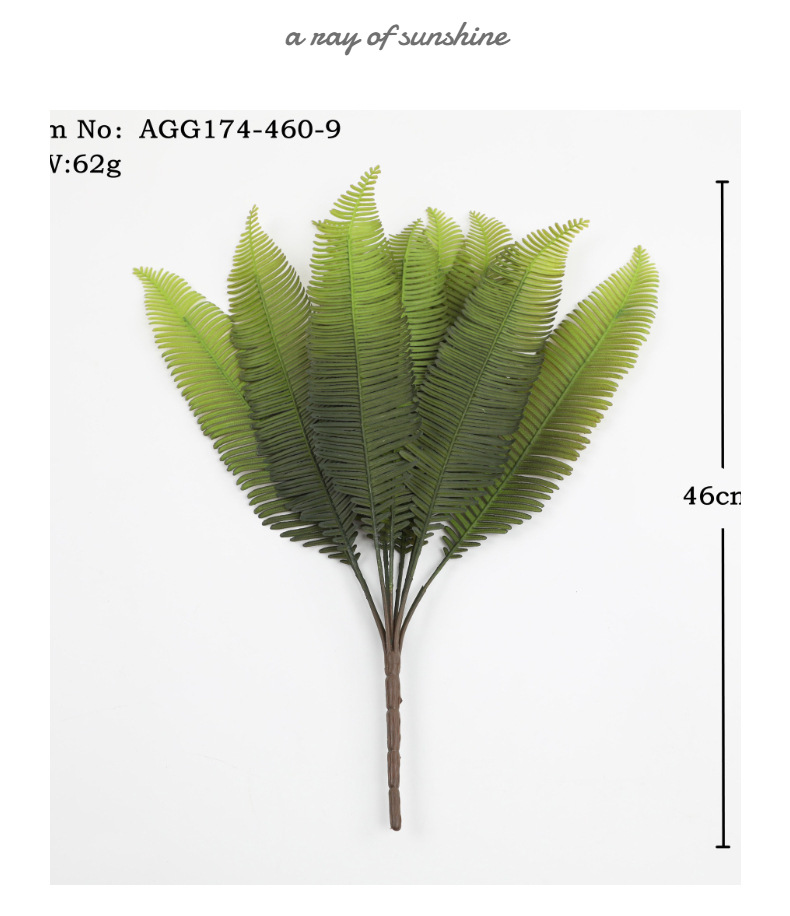 模特展示3 (3).jpg