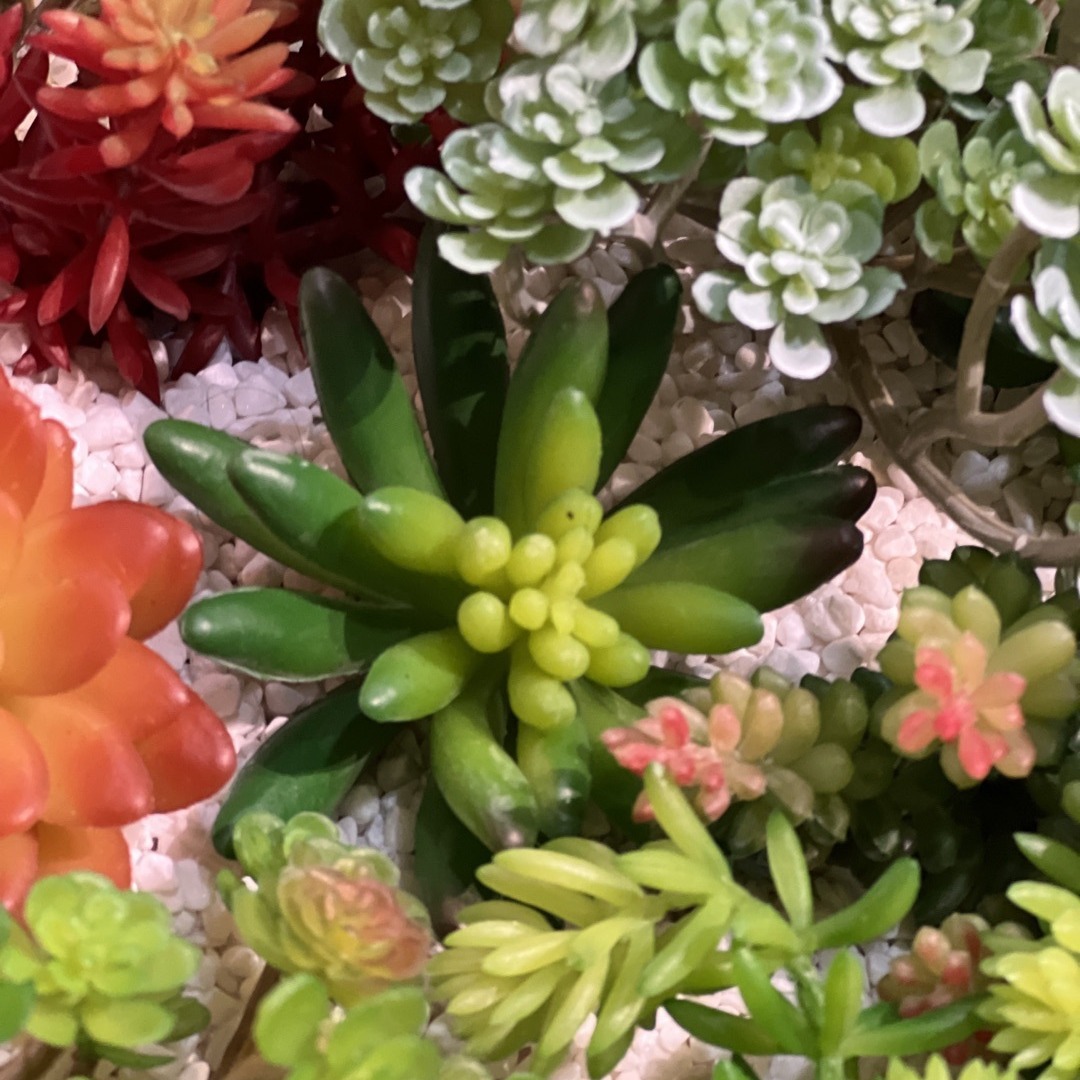 Marco decorativo Planta nórdica colgante de pared decoración de pared colgante de pared tridimensional pared de fondo de planta verde pared cabeza de ciervo simulación suculento planta verde