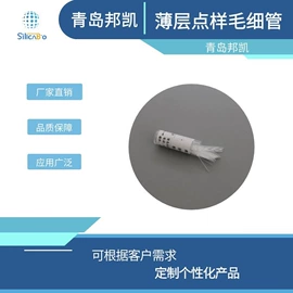 硅胶;层析板;催化剂用载体