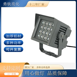 投射灯;室外壁灯;投光灯