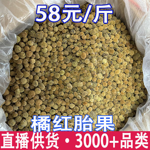 �����ټt̥�� ���ۼt������w��ë̥���ë���ټt��