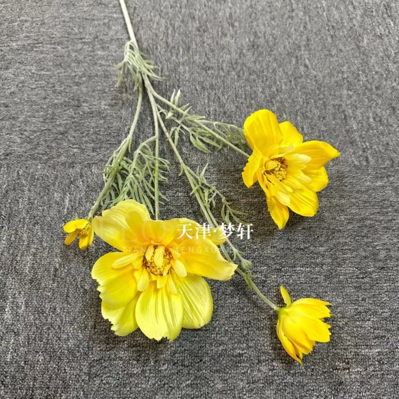 노란색