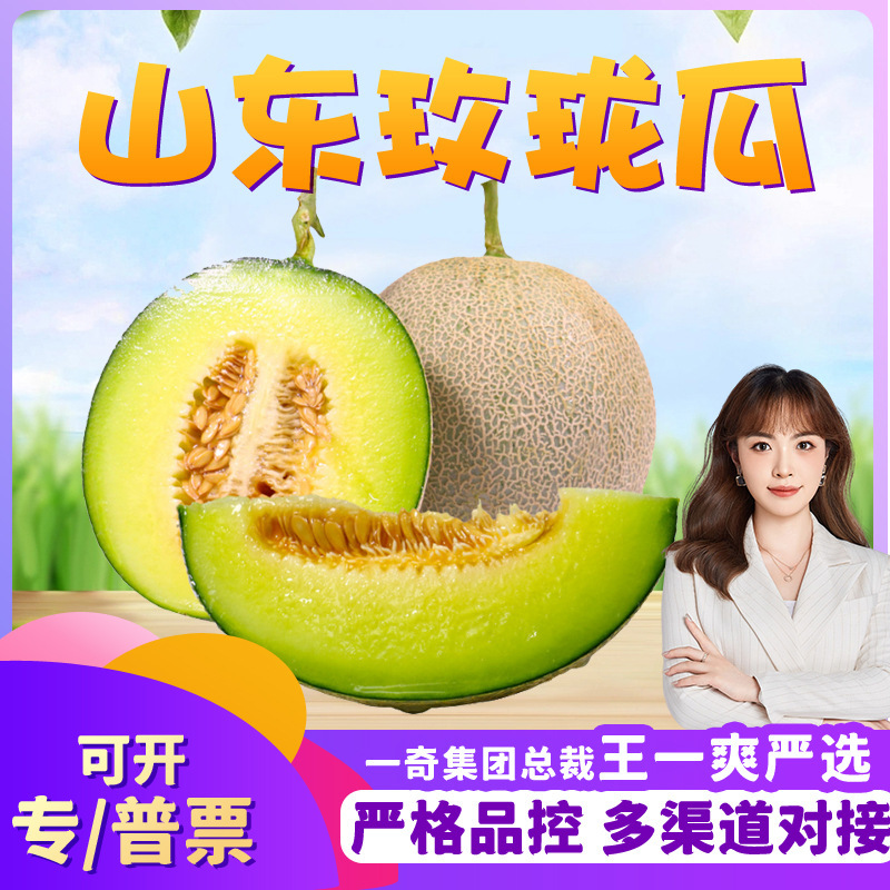 【Premium Selection】Shandong Mei Long Melon, Available for Wholesale 1/ 4.5kg Price, Super Sweet Ice Cream Netted Melon, Festival Group Purchase, Fresh Produce