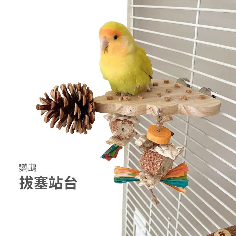 Игрушка-попугай подключающаяся платформа рельефная развлечения пион Xuanfeng игрушка для птиц шлифовальный рот деревянный кедровый орех комбинация грызающей струны