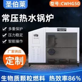 蒸汽发生器;燃生物质锅炉;锅炉配附件