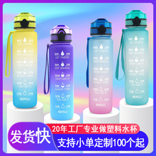 渐变运动水杯大容量儿童学生上学专用耐高温男女吸管杯塑料太空杯